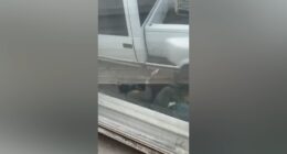 Family blocked from Gottleib Hospital visit now looking for Ricardo Aguayo Rodriguez, arrested by Border Patrol in Melrose Park