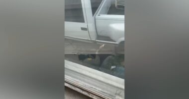 Family blocked from Gottleib Hospital visit now looking for Ricardo Aguayo Rodriguez, arrested by Border Patrol in Melrose Park