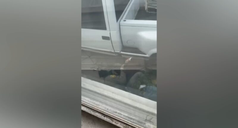 Family blocked from Gottleib Hospital visit now looking for Ricardo Aguayo Rodriguez, arrested by Border Patrol in Melrose Park