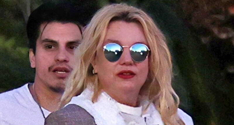 Family panic as Britney Spears takes 'disturbing' measures