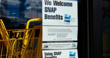 Federal judge orders Trump admin to provide full SNAP payments 