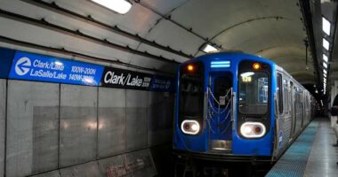 Federal judge orders man held on federal terrorism charge in Chicago train attack