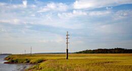 Ferry collision reported on landing dock at Sapelo Island