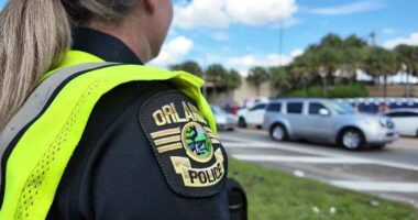 Festivalgoers urged to test drugs amid safety concerns at Electric Daisy Carnival