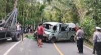 Five tourists killed in Bali minibus crash