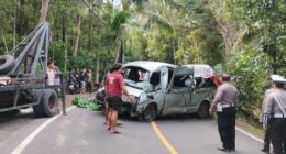 Five tourists killed in Bali minibus crash