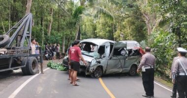 Five tourists killed in Bali minibus crash