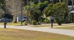 Flagler County deputies investigate possible attempted child abduction in Palm Coast 
