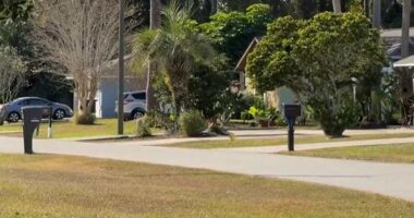 Flagler County deputies investigate possible attempted child abduction in Palm Coast 