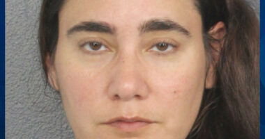 Florida Woman Tries to Kidnap 5-Year-Old Boy From Grandmother’s SUV