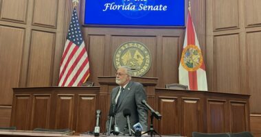 Florida lawmakers aim to focus on rural investments, property taxes next session