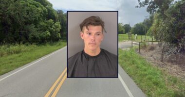 Florida man allegedly sprays deputies with 'bear repellent'