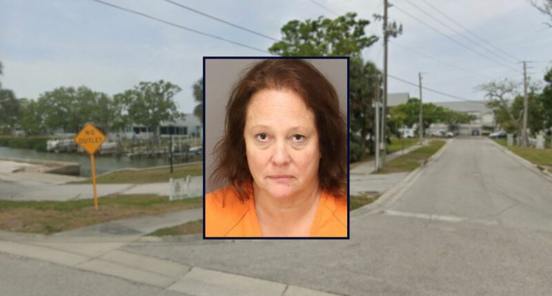 Florida wife allegedly tried to stab husband to death