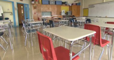 Florida's 'Phoenix Declaration' receives mixed reactions from lawmakers and parental rights groups