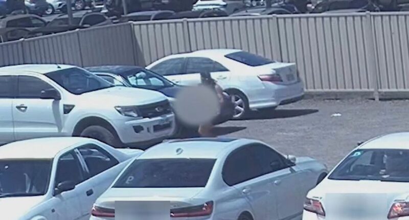Footage catches car thief's reaction on finding sleeping baby