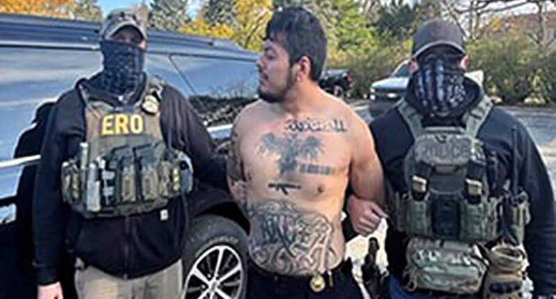 Former DACA recipient with violent criminal past flees ICE, tries balcony jump during Chicago arrest