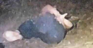 Former political staffer accused of staging anti-Trump attack on herself