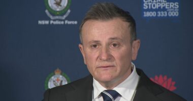 Fortune teller and daughter accused of carrying out $70 million fraud