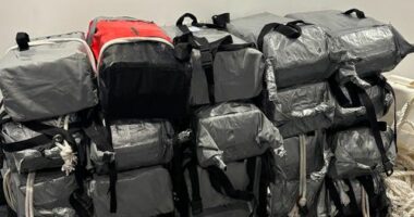 Some of the haul seized off the coast of WA. Around $170 million of the drug was found, 525kg overall.