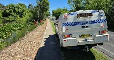 Four charged after man stabbed to death at regional park