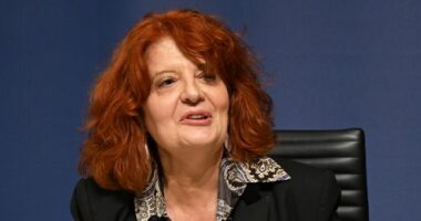 Four more arrested over $157 million Louvre jewel heist