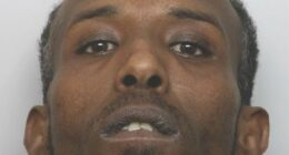 Fraudster posed as police to steal cash and jewellery from pensioner