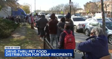 Free pet food distribution for SNAP recipients hosted by Chicago Animal Care and Control in Pilsen