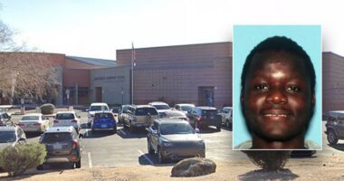 Freed sex offender allegedly poses as doctor, sexually assaults student at Arizona elementary school: police