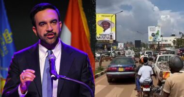 From Africa to Iran: Mamdani’s mayoral win draws praise from unexpected quarters, sharp criticism