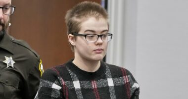 Fugitive 'Slender Man' stabber Morgan Geyser snapped 'just Google me'