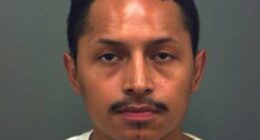 Fury as creep receives 'appalling' punishment for eating cat