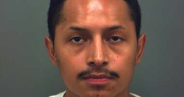 Fury as creep receives 'appalling' punishment for eating cat