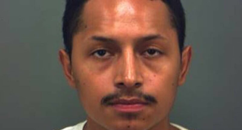 Fury as creep receives 'appalling' punishment for eating cat