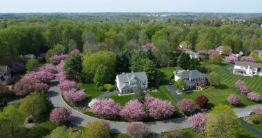 Fury as new 'upkeep' law slaps $200 fines on homeowners for yard chore