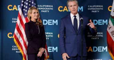 Gavin Newsom delivers midterm election power grab