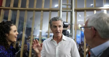 Gavin Newsom forced to revoke driver's licenses for illegal migrants
