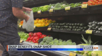 Getting a snapshot of people receiving SNAP benefits in Illinois