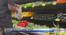 Getting a snapshot of people receiving SNAP benefits in Illinois