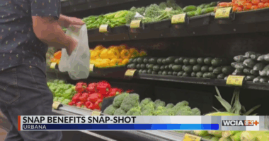 Getting a snapshot of people receiving SNAP benefits in Illinois