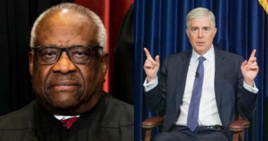 Gorsuch, Thomas unload on colleagues for refusing major case