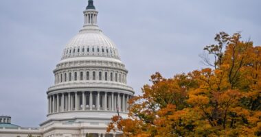 Government shutdown could become longest ever as Trump says he 'won't be extorted' by Democrats