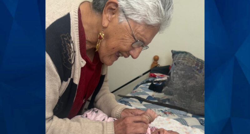 Grandmom Left for Dead in Middle of Road Was Likely Hit-and-Run Victim