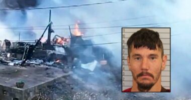 Grandson 'poured' gas on grandma, set her ablaze: Police