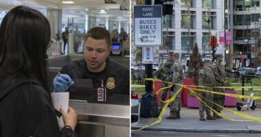 Green cards for people from 19 'countries of concern' to be reexamined