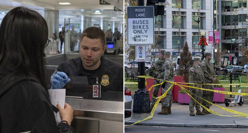 Green cards for people from 19 'countries of concern' to be reexamined