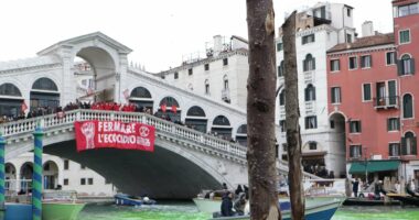 Greta Thunberg banned from Venice after dumping green dye into canal