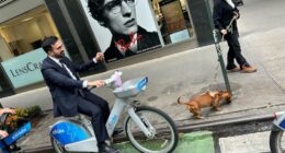 Gridlock Sam’s transportation list for Mamdani’s first 100 days