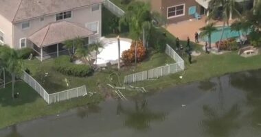 The plane crashed into a pond in a residential neighbourhood of Fort Lauderdale, Florida.