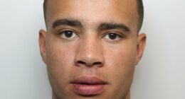 HSTikkyTokky avoids jail after crashing £230,000 McLaren supercar