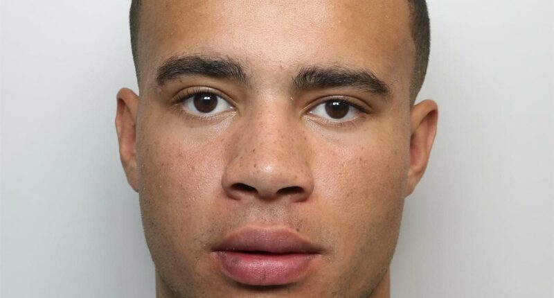 HSTikkyTokky avoids jail after crashing £230,000 McLaren supercar